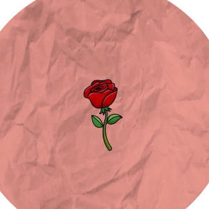 Meet your Posher, Aiden